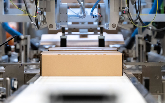 This sector encompasses companies engaged in the